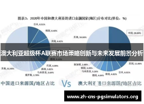 澳大利亚超级杯A联赛市场策略创新与未来发展前景分析