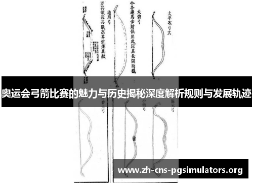 奥运会弓箭比赛的魅力与历史揭秘深度解析规则与发展轨迹