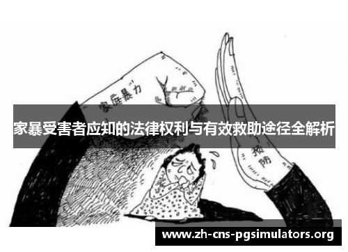 家暴受害者应知的法律权利与有效救助途径全解析