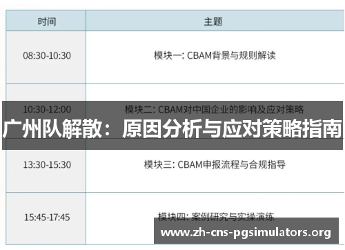 广州队解散：原因分析与应对策略指南