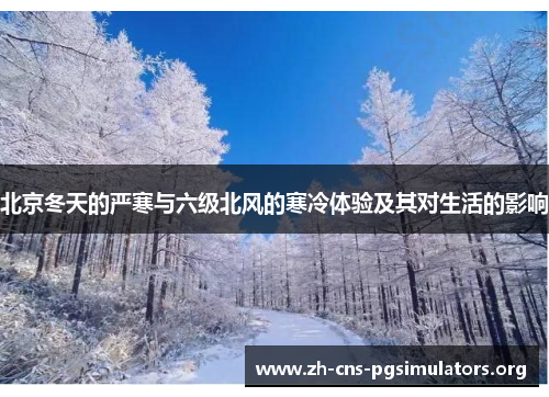 北京冬天的严寒与六级北风的寒冷体验及其对生活的影响