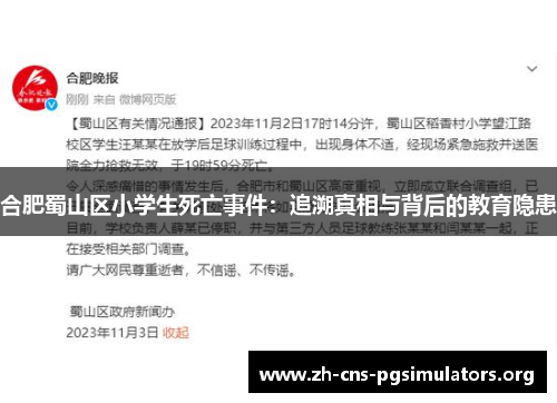 合肥蜀山区小学生死亡事件：追溯真相与背后的教育隐患