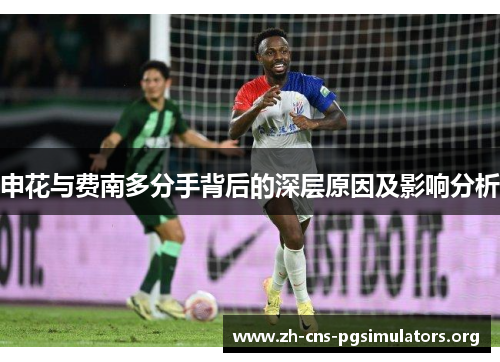 申花与费南多分手背后的深层原因及影响分析