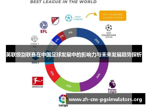 英联级别联赛在中国足球发展中的影响力与未来发展趋势探析