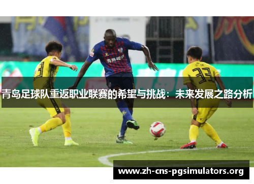 青岛足球队重返职业联赛的希望与挑战：未来发展之路分析