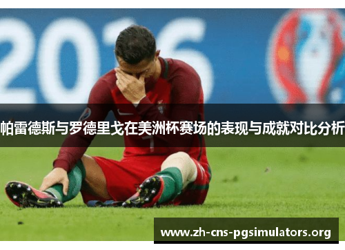 帕雷德斯与罗德里戈在美洲杯赛场的表现与成就对比分析
